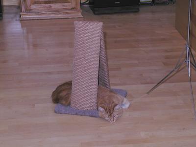 Shhh, I'm using the pyramid's healing energies