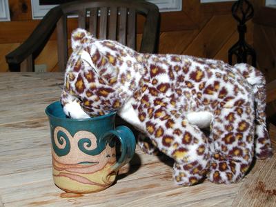 Just what we need, stuffed animals bouncing from coffee