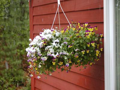 But it's May 18th! #2