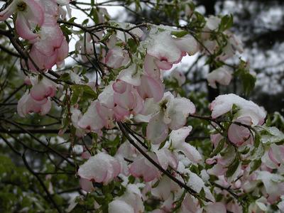 But it's May 18th! #3