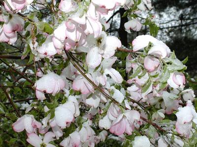 But it's May 18th! #4