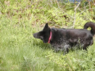 That bath was lovely