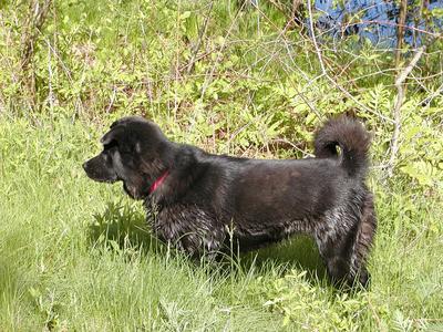 My that was refreshing