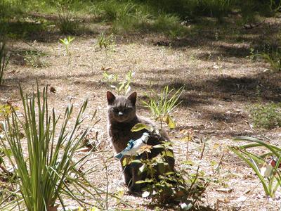 Ok, out of my garden now!