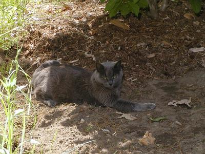 Ok, out of my garden now! #3