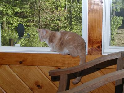 I'm contemplating the universe