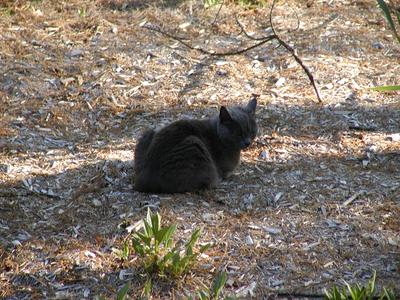 I've got problems of my own