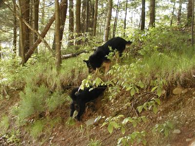Kendra and Kristy playing