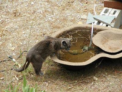 Ahhh, a nice refreshing drink will do