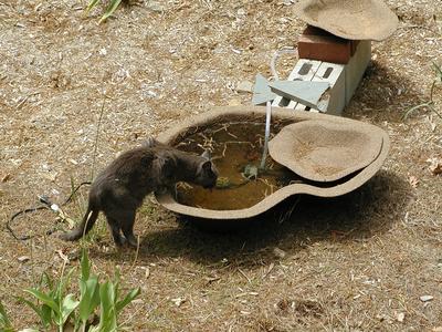 Ahhh, a nice refreshing drink will do #2