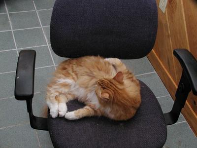 Cleanliness is next to Godliness