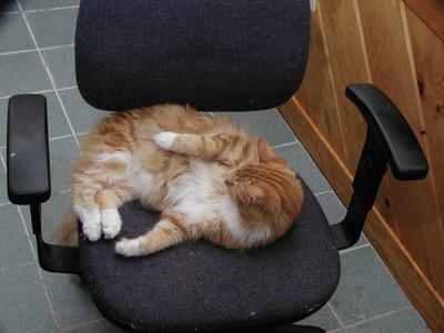 Cleanliness is next to Godliness #2