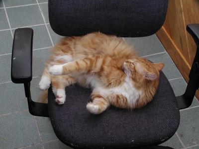 Cleanliness is next to Godliness #3