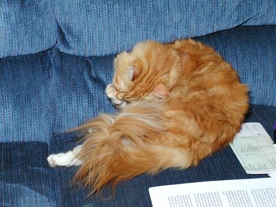 I'm feeling pretty, oh so pretty....