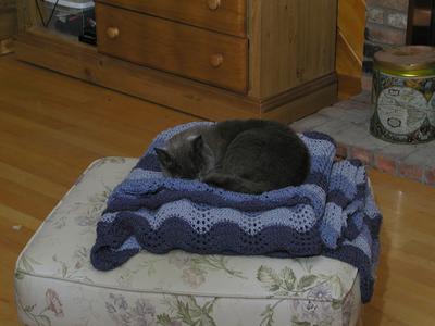 Her majesty on her royal throne