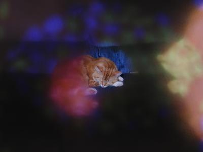 America sleeping, using a Cokin spot 2 filter (673) with yellow/orange spots