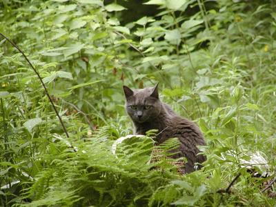 Yes, as a matter of fact, I am queen of this garden