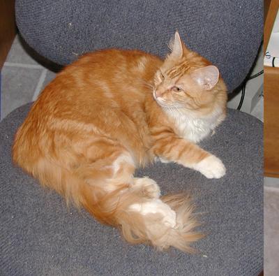 Another picture?  If you must, go ahead....