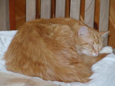 I'm nice and cozy #2