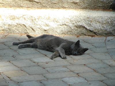 Just catching some rays