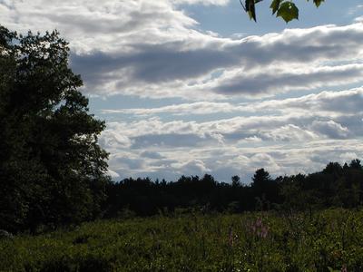 Clouds over Spectacle Pond #4
