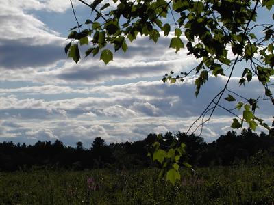 Clouds over Spectacle Pond #5