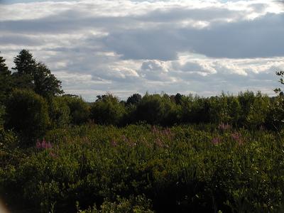 Clouds over Spectacle Pond #6