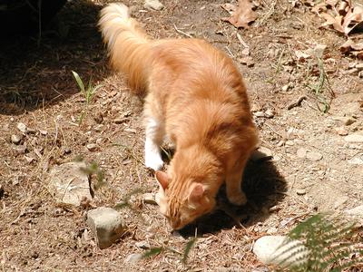 Hmmm, something's there