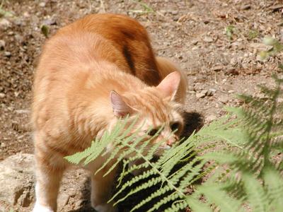 Hmmm, something's there #2