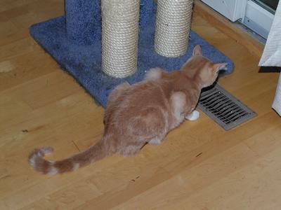 I wonder what's down there