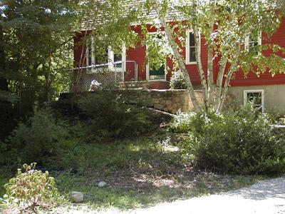 Look ma, no wild rose bush!