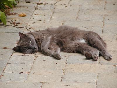 Go away, leave me alone #2