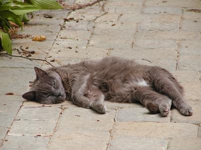 Go away, leave me alone #3