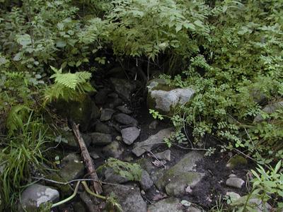 Streambed
