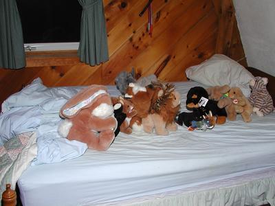 The stuffed animals form a congo line