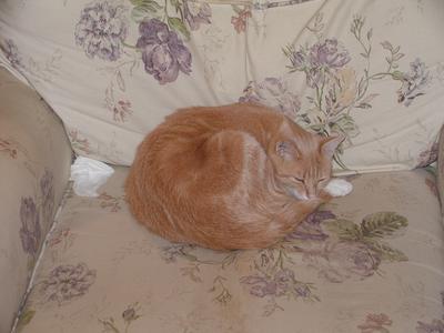 I guess I won't use that chair....