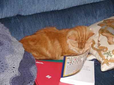 Is he dreaming about Harry Potter? #2