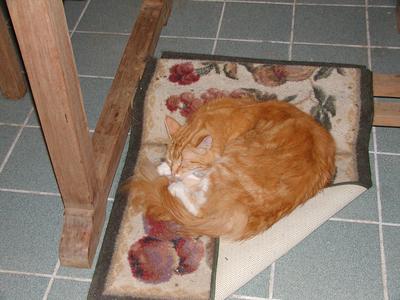 Be careful where you put your feet under the table