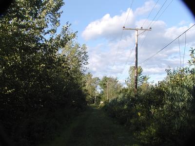 Clouds over Bennets Brook walkway