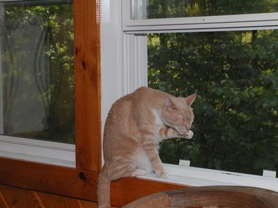 Mmmmm, mmmmm, finger licking good