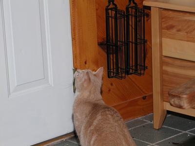 With the power of my mind, I will open the door