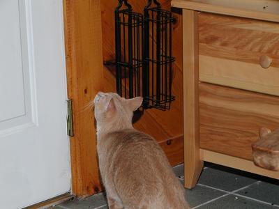 Lets try this again, with the power of my mind I will open the door