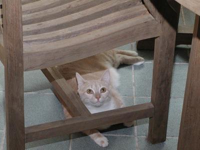 Watch where you move that chair!