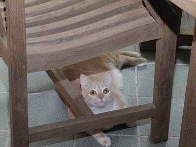 Watch where you move that chair! #2