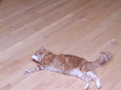 Another picture, put that camera down!