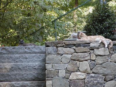 It's too hot to fight