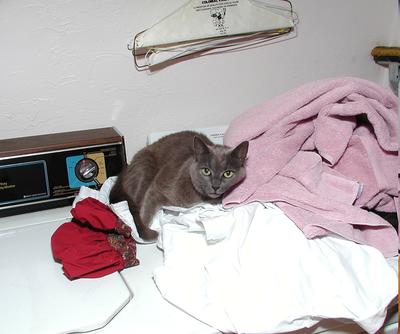 Great, now we'll have to wash the clothes again!