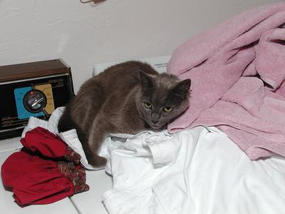 Great, now we'll have to wash the clothes again! #2