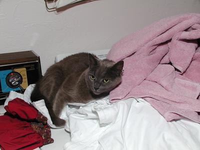 Great, now we'll have to wash the clothes again! #3