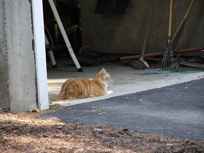 I'll guard the garage now instead of the stairs